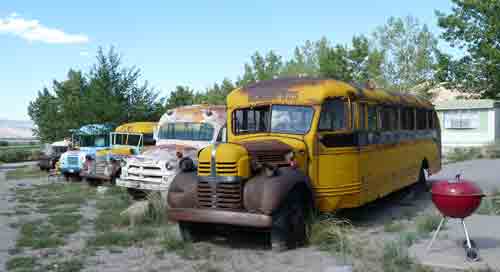 Rusty Buses