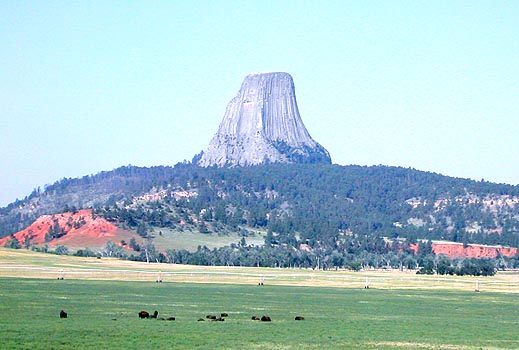 tower and buffalo