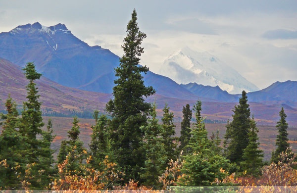 Mt McKinley