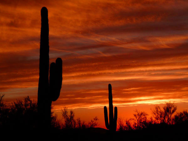 Cave Creek Sunset