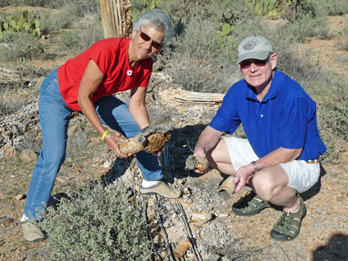 Saguaro Boot