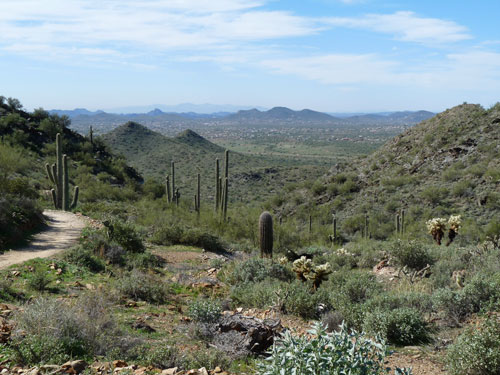 Trail at Cave Creek