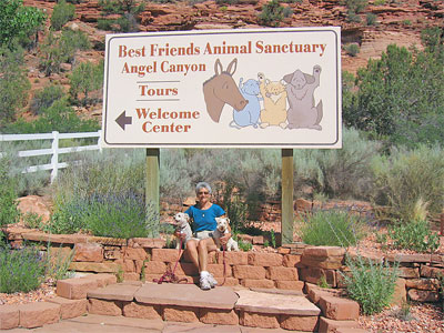 Judy, Dogs at Welcome Center