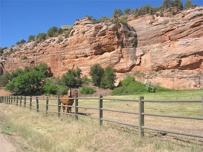 Horse Corral