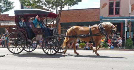 Parade Wagon