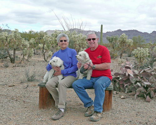 Sitting in the Desert