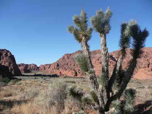 Snow Canyon State Park