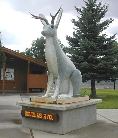 jackalope