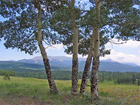 Mueller State Park