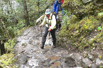 Muddy Trail