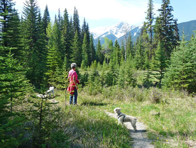 Trail to Dog Lake