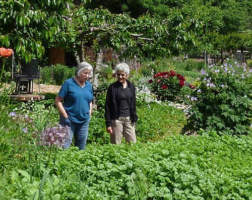 Garden at Vicky's