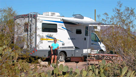 Organ Pipe Cactus NM