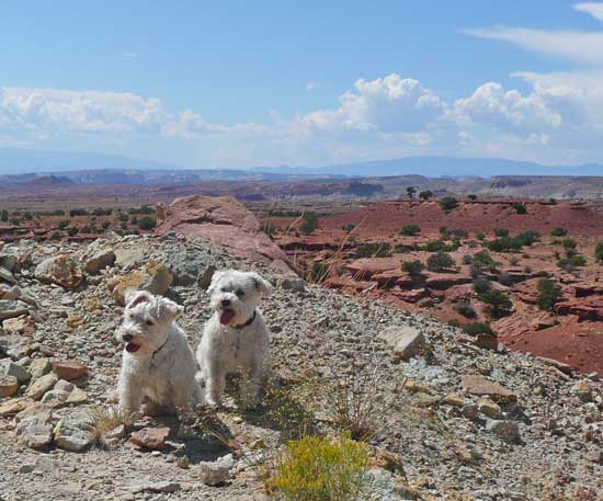 Bella and Sophie at San Rafael Swell