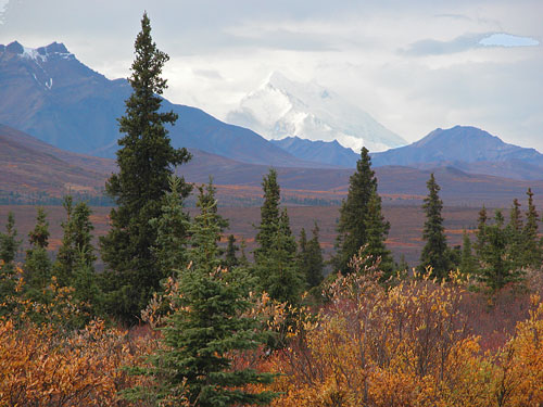 Denali