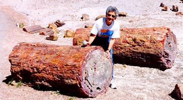 Judy and a Petrified Log