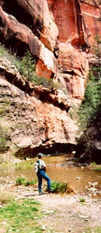 West Fork Trail