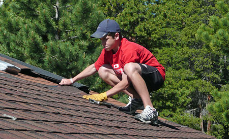 Griffin on the Roof