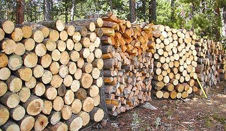 Woodpile