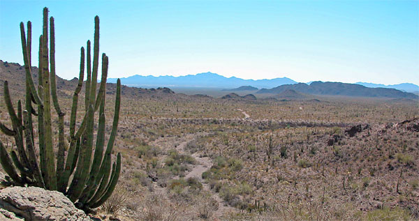 View
From Ajo Mountains