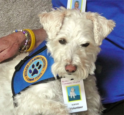 Sophie in Volunteer Uniform