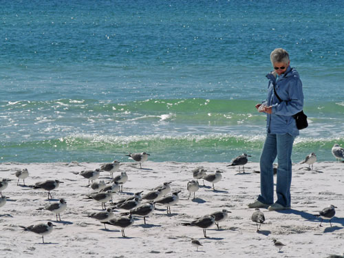 Shore Birds and Judy