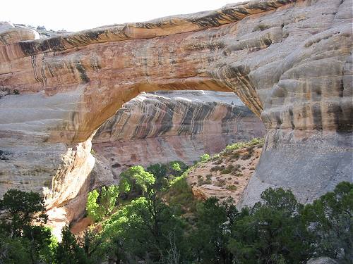 Natural Bridges National Monument