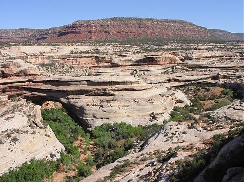 Natural Bridges National Monument