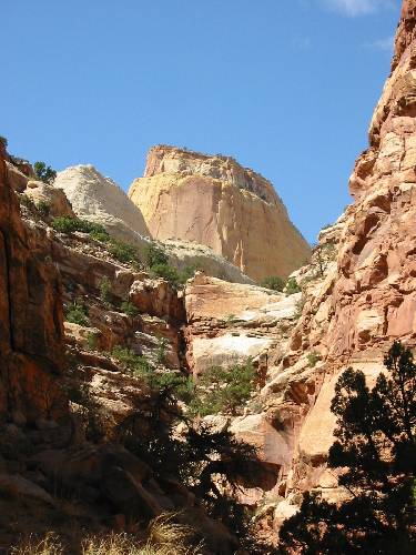 Capitol Reef National Park