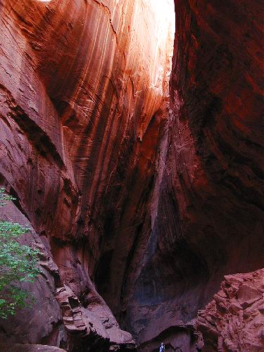 Grand Staircase - Escalante National Monument