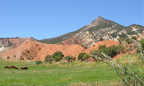 Sheep Creek