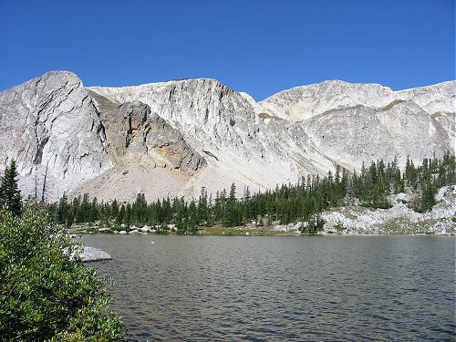 Medicine Bow