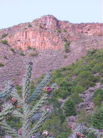 Orilla Verde National Recreation Area
