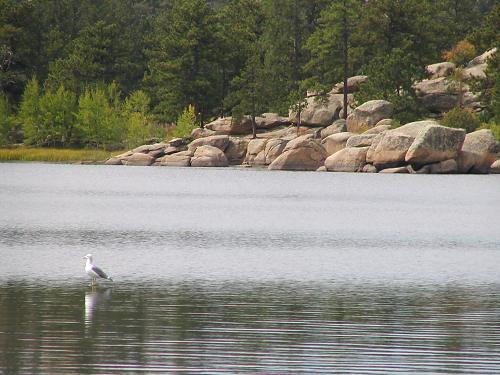 Red Feather Lakes