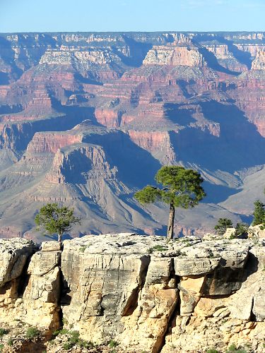 South Rim