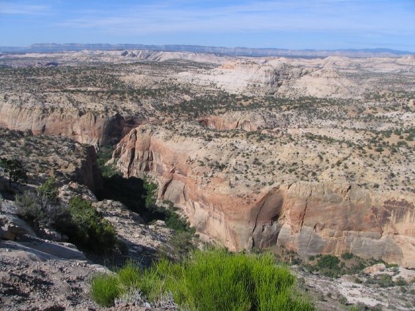 photo13.jpg