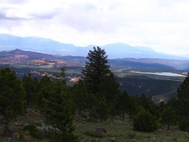 photo15.jpg