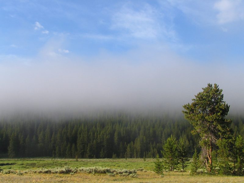 photo15.jpg