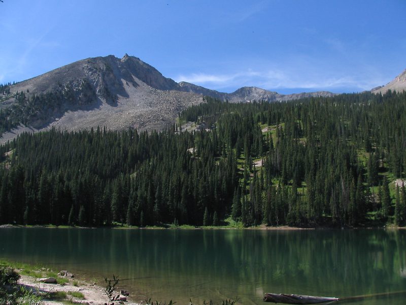photo6.jpg