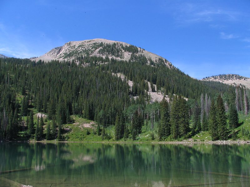 photo7.jpg