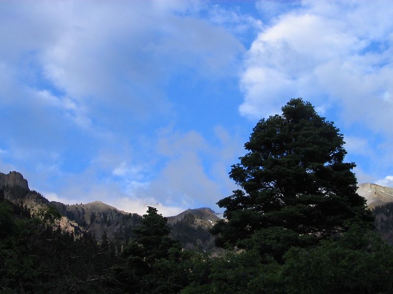 photo15.jpg