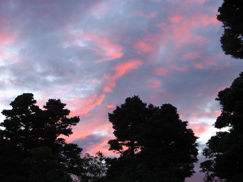 photo19.jpg