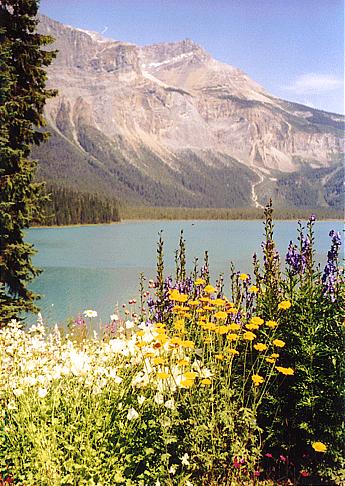 Emerald Lake