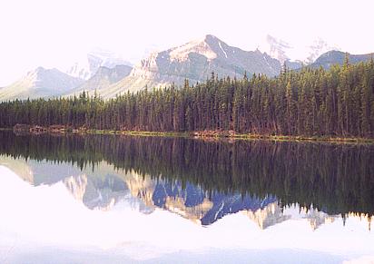 Herbert Lake