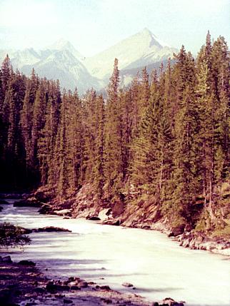 Kicking Horse River