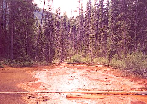 Kootenay Ochre Beds