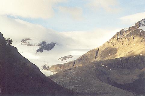 Peyto Glacier