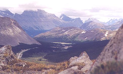 Wilcox Pass