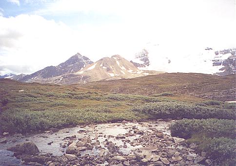 Wilcox Pass
