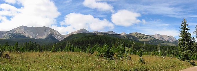Bozeman